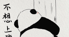 服务器怎么选——国内国外