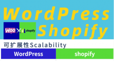 SEO优化方面WordPress Vs Shopify