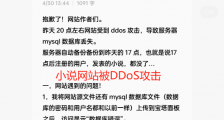 小说网站受到DDoS攻击 导致服务器 mysql 数据库丢失
